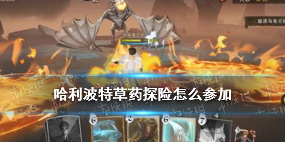 《哈利波特》草药探险怎么开 草药探险召集人数开启方法