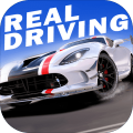 RealDriving2UltimateCarSimulator