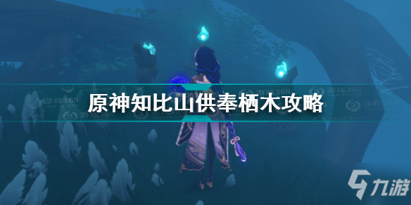 《原神》知比山供奉栖木图文教程 知比山羽毛在哪