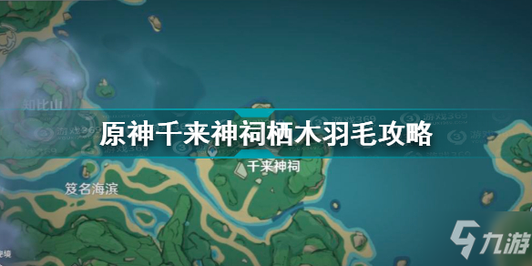 原神千来神祠栖木羽毛位置介绍 原神千来神祠栖木羽毛攻略