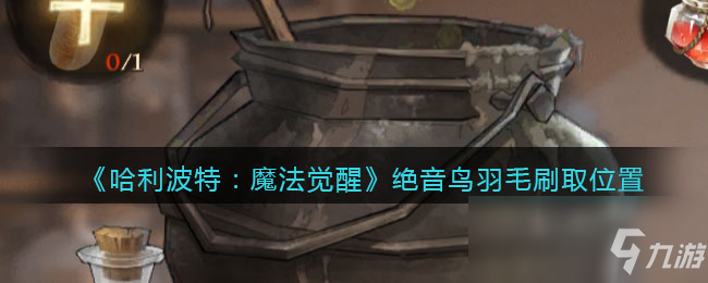 《哈利波特：魔法觉醒》绝音鸟羽毛刷取位置