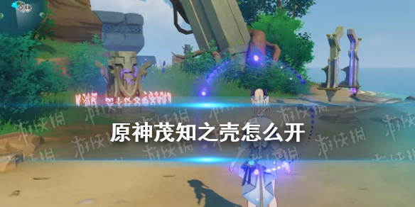 《原神》茂知之壳秘境解锁图文教程 茂知之壳如何开