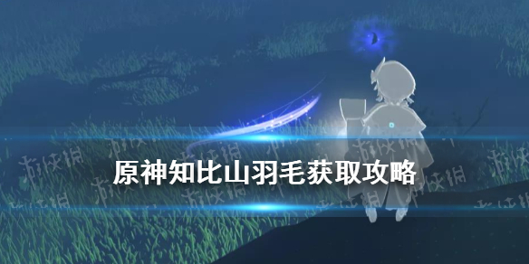 《原神》千来神祠栖木位置 千来神祠解密羽毛获取攻略