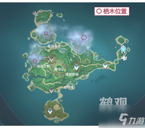 原神雾海与树之祭能量球任务怎么做？雾海与树之祭能量球任务攻略一览