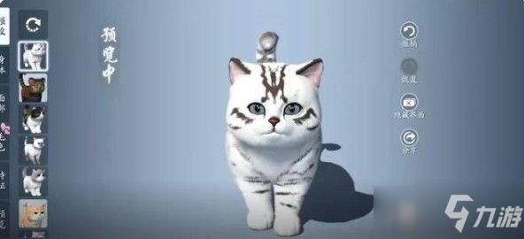 天涯明月刀手游养猫攻略：猫咪捏脸数据分享