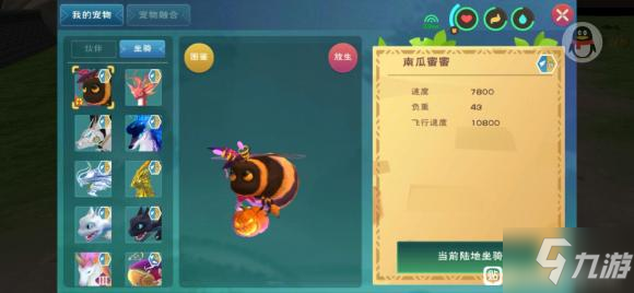 创造与魔法南瓜蜜蜜资质介绍