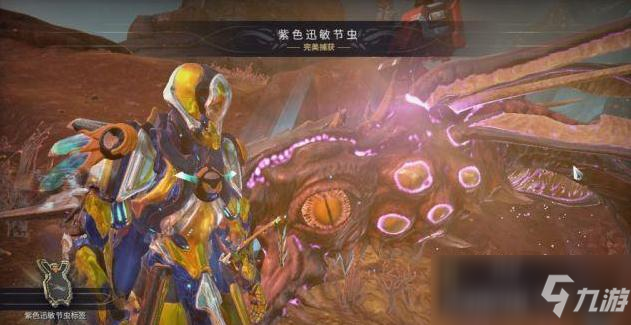 星际战甲紫色迅敏虫 在哪里刷