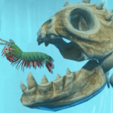 极速皮皮虾模拟生存加速器