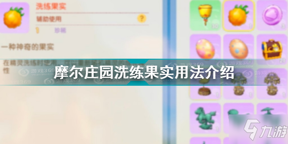 摩尔庄园洗练果实怎么用 摩尔庄园洗练果实用法介绍