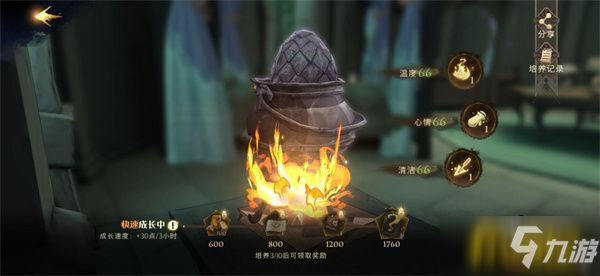 哈利波特魔法觉醒龙蛋怎么养成-龙蛋养成攻略