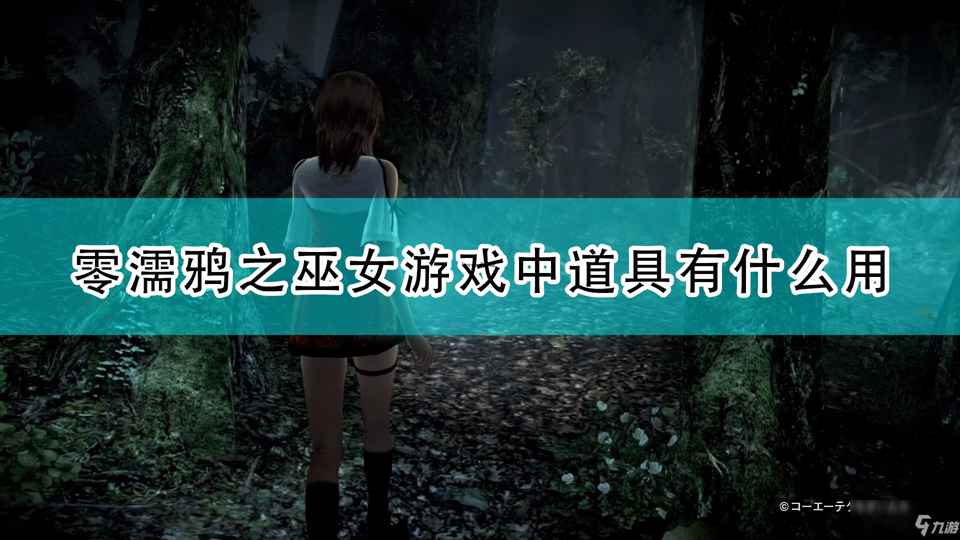 《零：濡鸦之巫女》游戏全道具作用一览