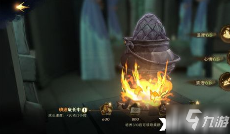 《哈利波特：魔法觉醒》龙蛋养成攻略