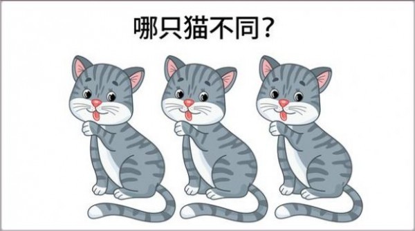 BrainHub好玩吗 BrainHub玩法简介