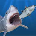 饥饿鲨海底大猎杀加速器
