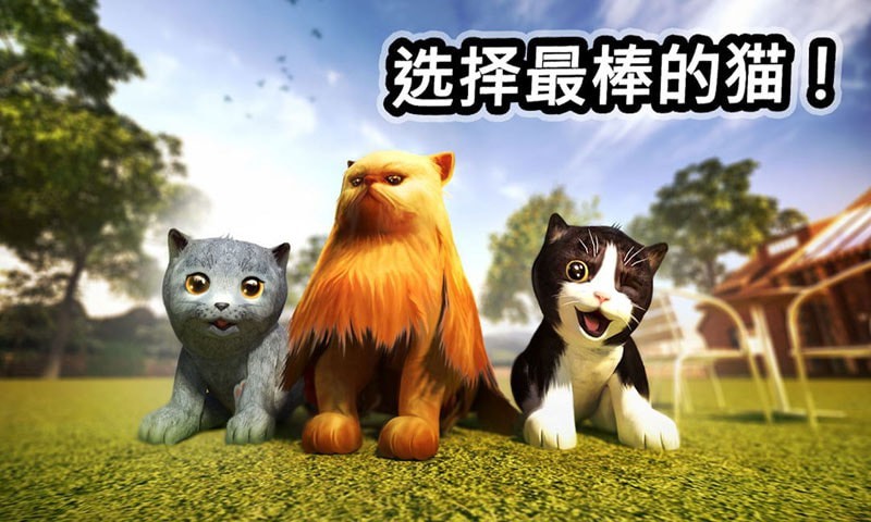 迷你小猫城市生存好玩吗 迷你小猫城市生存玩法简介