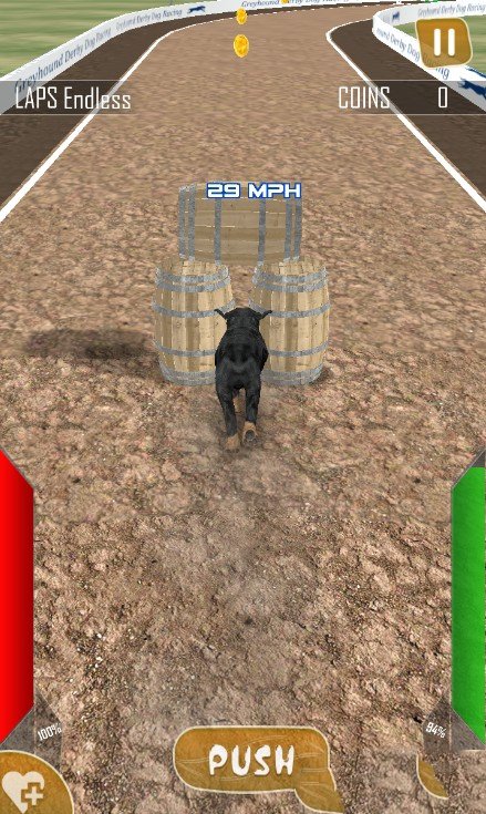 狗狗赛跑3D好玩吗 狗狗赛跑3D玩法简介