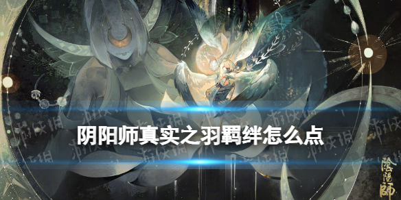 《阴阳师》真实之羽羁绊怎么点 真实之羽活动阵容加点推荐
