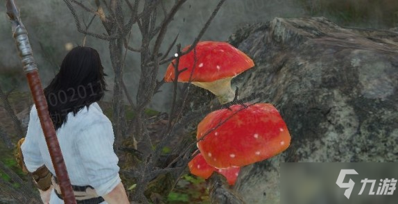 《永劫无间》红色蘑菇及锦鲤位置分享