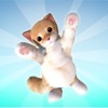 FluffyCat3D