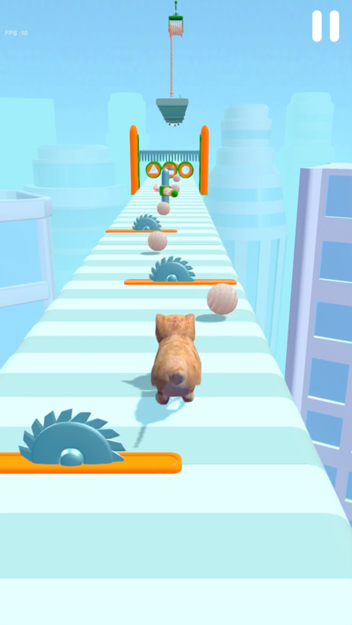 FluffyCat3D好玩吗 FluffyCat3D玩法简介