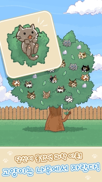 猫猫树截图