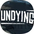 Undying加速器