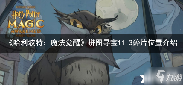 《哈利波特：魔法覺(jué)醒》2021拼圖尋寶11.3碎片位置介紹