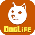 DogLifeBitLifeDogs