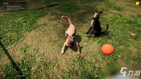 策略模拟游戏《动物收容所》本月3日上线免费序章
