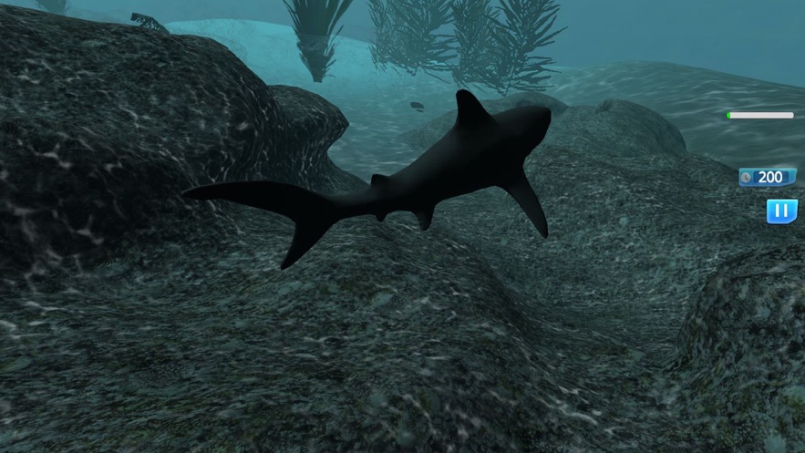 饥饿的鲨鱼动物园模拟好玩吗 饥饿的鲨鱼动物园模拟玩法简介