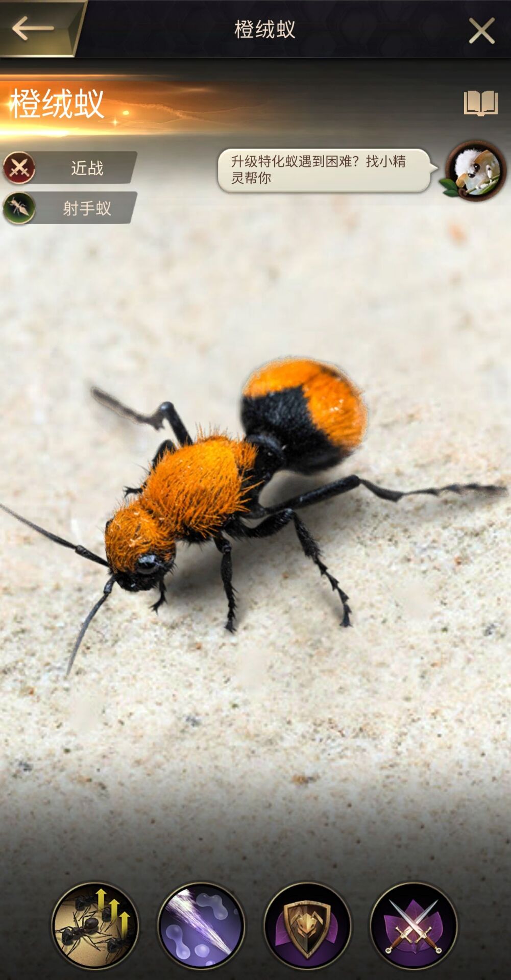 小小蚁国橙蚁叫什么 全部橙蚁图鉴汇总