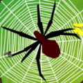 IDLESpiders