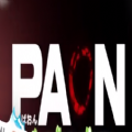PAONbeyondthePIEN加速器