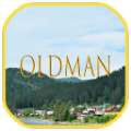 oldman加速器