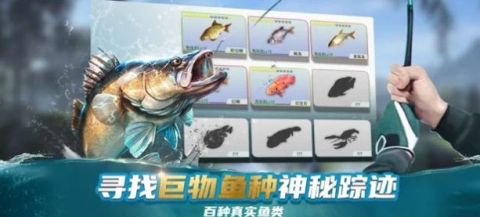 釣魚大咖臺釣截圖1