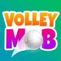 VolleyMob