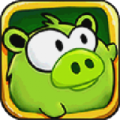 HungryPiggy