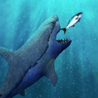 饥饿的疯狂鲨鱼世界大白鲨进化加速器