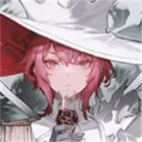 pojectGAMM加速器
