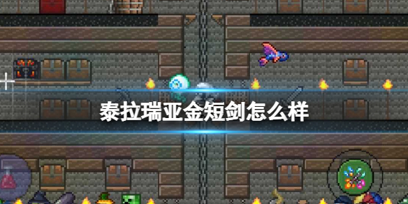《泰拉瑞亚》金短剑怎么样 金短剑图鉴介绍