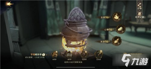 哈利波特魔法觉醒恒久无暇手帕怎么得 获取方法分享