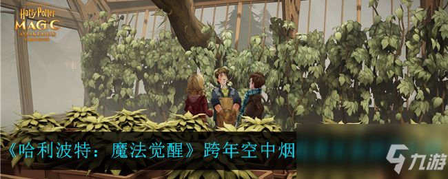 《哈利波特：魔法觉醒》跨年空中烟花音乐会活动介绍