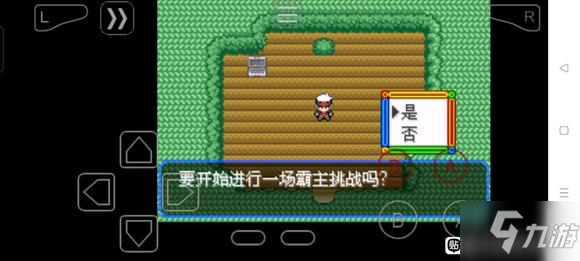 口袋妖怪究极绿宝石5.3不能携带某些耍赖技能解决方法