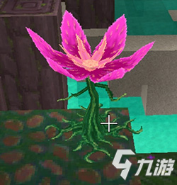 萌新初识精灵及任务分布（二）
