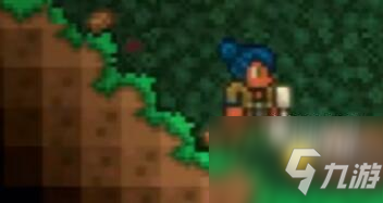 泰拉瑞亚九周年纪念世界彩蛋一览