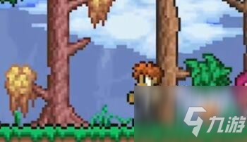 泰拉瑞亚九周年纪念世界彩蛋一览