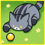CatTown加速器