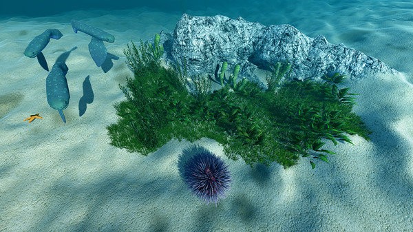 海洋生态模拟器好玩吗 玩法特点和游戏剧情介绍