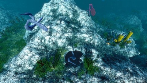 海洋生态模拟器截图1