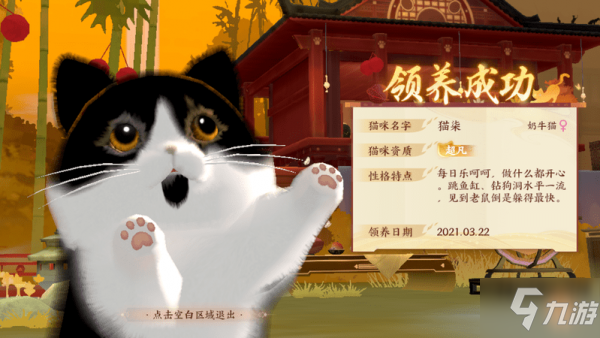 《忘川风华录》领养猫问答答案对应猫咪介绍 领养猫玩法分享